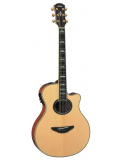 APX900 (NT), зображення 1