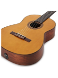 CG-TA TransAcoustic, зображення 2