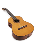 CG-TA TransAcoustic, зображення 6