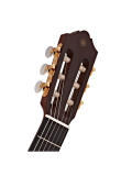 CG-TA TransAcoustic, зображення 4