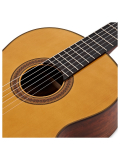 CG-TA TransAcoustic, зображення 5