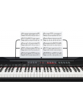 CODA PRO, зображення 4