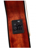 CEC1 (Open Pore), зображення 5