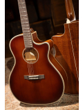 Essence-GA4 Special (Brown Burst Semi Gloss), зображення 8