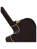 CPX600 (Old Violin Sunburst), зображення 5