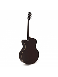 CPX600 (Old Violin Sunburst), зображення 7