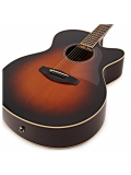 CPX600 (Old Violin Sunburst), зображення 2