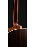 D-16E Rosewood, зображення 5