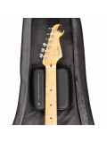 D'Addario Backline Electric Guitar Case, зображення 16