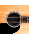PW-SH-01 Screeching Halt Soundhole Plug, зображення 2