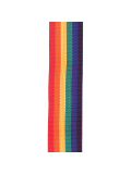 PWS111 POLYPRO GUITAR STRAP (RAINBOW), зображення 3