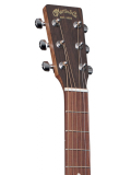 DC-X2E Rosewood, зображення 3