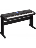DGX-660 (Black), зображення 1