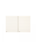 B10S-48, зображення 2