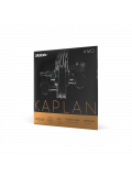 KAPLAN AMO VIOLIN STRING SET 4/4 Scale Medium Tension, зображення 2