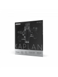 KAPLAN VIVO VIOLIN STRING SET 4/4 Scale Medium Tension, зображення 2
