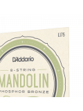 EJ75 Mandolin Phosphor Bronze Medium/Heavy (11.5-41), зображення 4