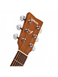 F370 (Tabacco Brown Sunburst), зображення 5