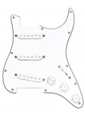 HS STRAT REPLACEMENT PICKGUARD, зображення 1