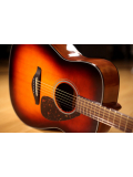 FG800 (Brown Sunburst), зображення 3