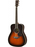 FG830 (Tobacco Brown Sunburst), зображення 1