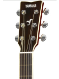 FS830 (Tobacco Brown Sunburst), зображення 3