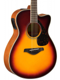 FSX820C (Brown Sunburst), зображення 3