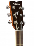FSX820C (Brown Sunburst), зображення 5