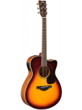 FSX820C (Brown Sunburst), зображення 1