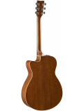 FSX820C (Brown Sunburst), зображення 2