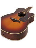 FSX830C (Brown Sunburst), зображення 2