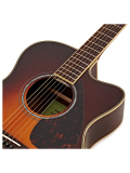 FSX830C (Brown Sunburst), зображення 3