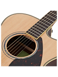 FSX830C (Natural), зображення 3
