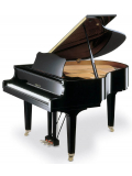 GC1 (Polished Ebony), зображення 1