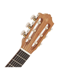 GL1 (Tobacco Brown Sunburst), зображення 4