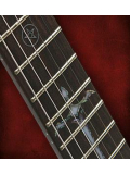 EVL-K6 (BKMS), зображення 4