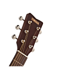 JR2 (Tobacco Browns Sunburst), зображення 6