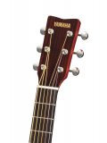 JR2S (Tobacco Brown Sunburst), зображення 4