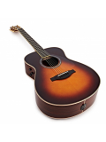 LS-TA TransAcoustic (Brown Sunburst), зображення 7