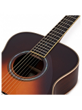 LS-TA TransAcoustic (Brown Sunburst), зображення 3