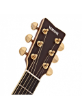 LS-TA TransAcoustic (Brown Sunburst), зображення 6