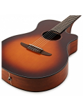 NTX1 (Brown Sunburst), зображення 2