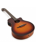 NTX1 (Brown Sunburst), зображення 6