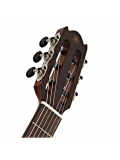 NTX1 (Brown Sunburst), зображення 4