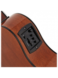 NTX1 (Brown Sunburst), зображення 3