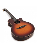 NTX3 (Brown Sunburst), зображення 6
