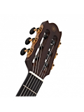 NTX3 (Brown Sunburst), зображення 5