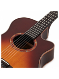 NTX3 (Brown Sunburst), зображення 4