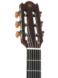 NTX500 (Brown Sunburst), зображення 4