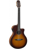 NTX500 (Brown Sunburst), зображення 1